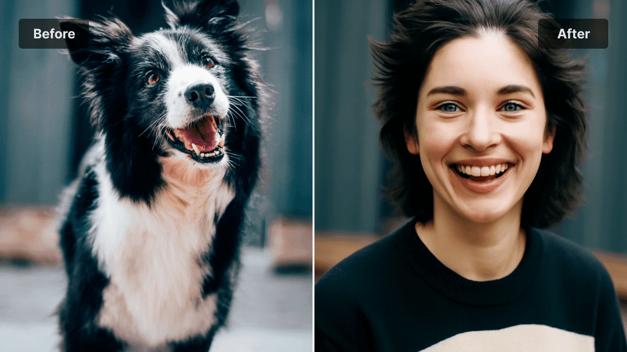 PXZ AI宠物转人狗狗示例