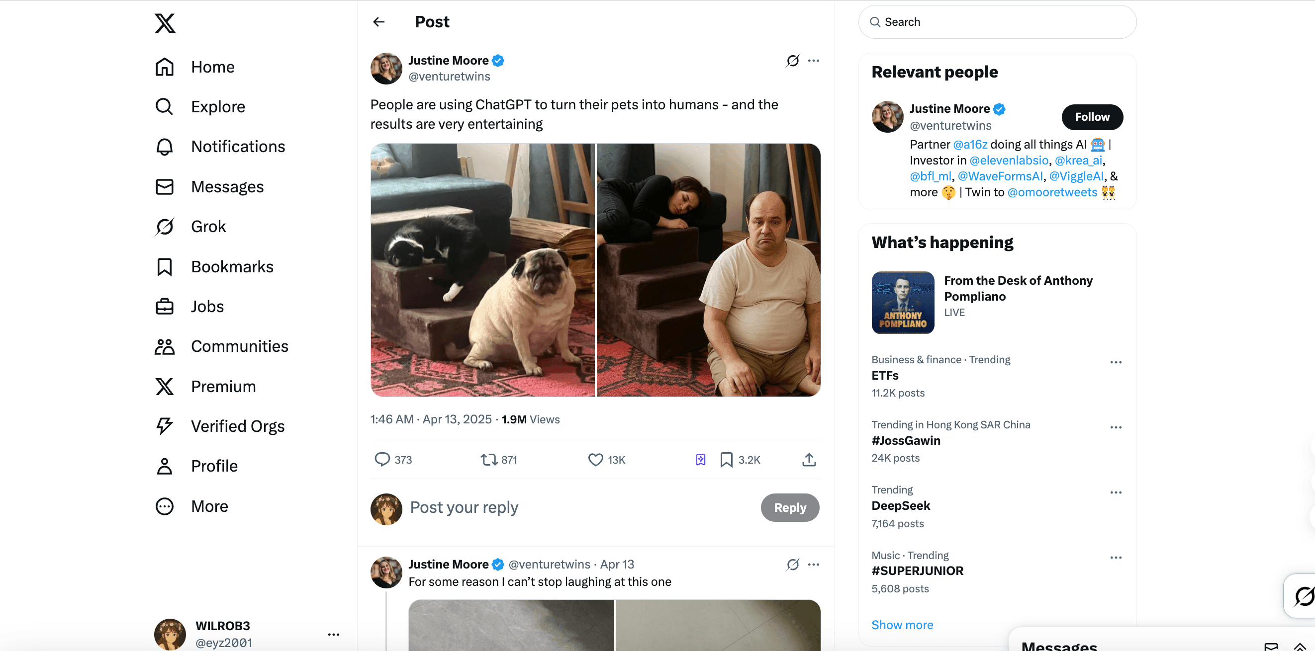 Twitter上的宠物转人