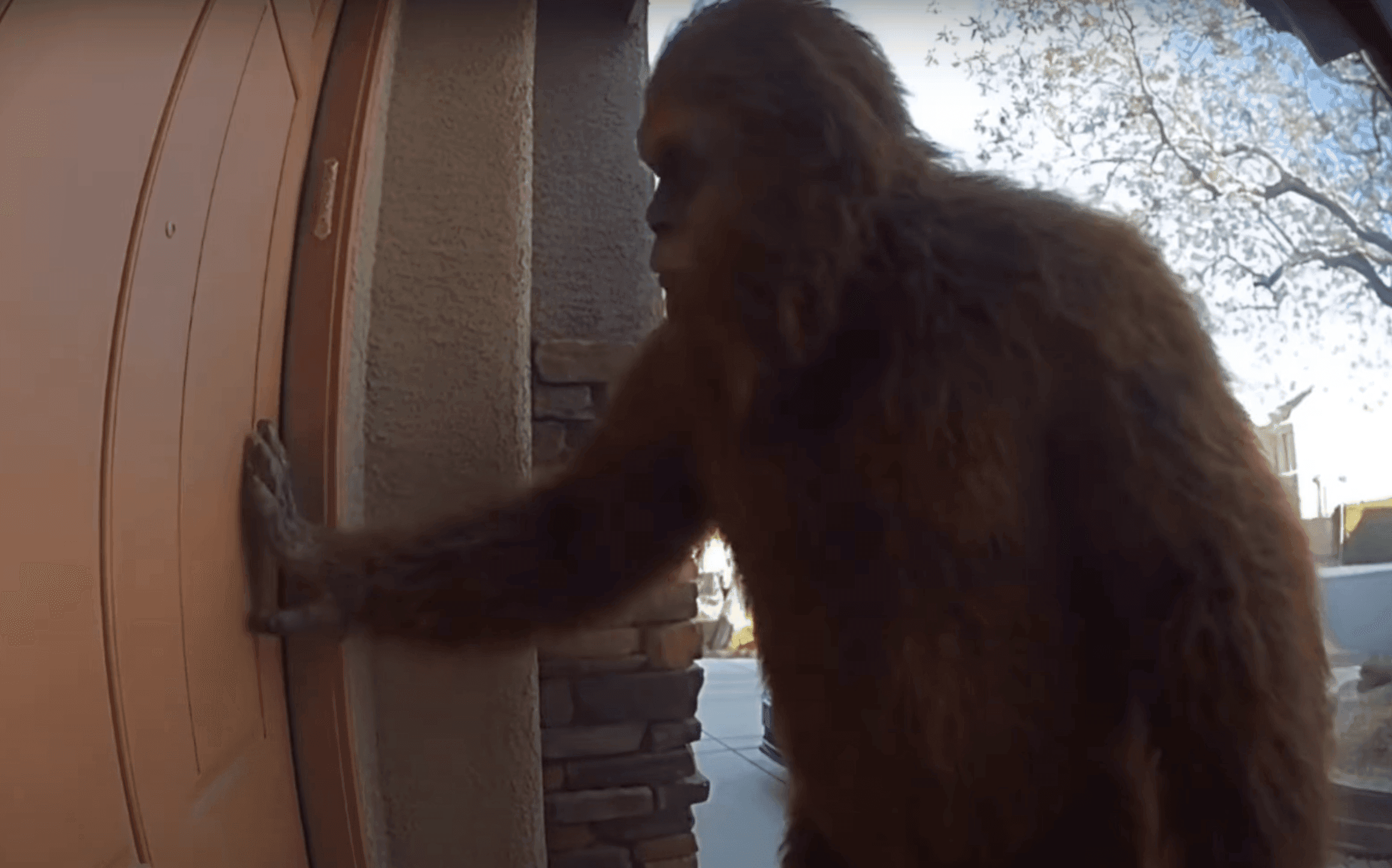 Resolution Example Vidu Q1