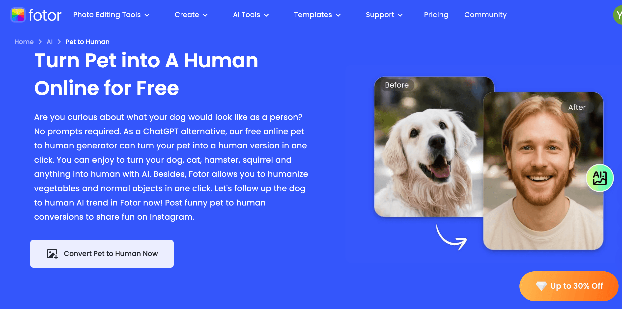 fotor питомец в человек