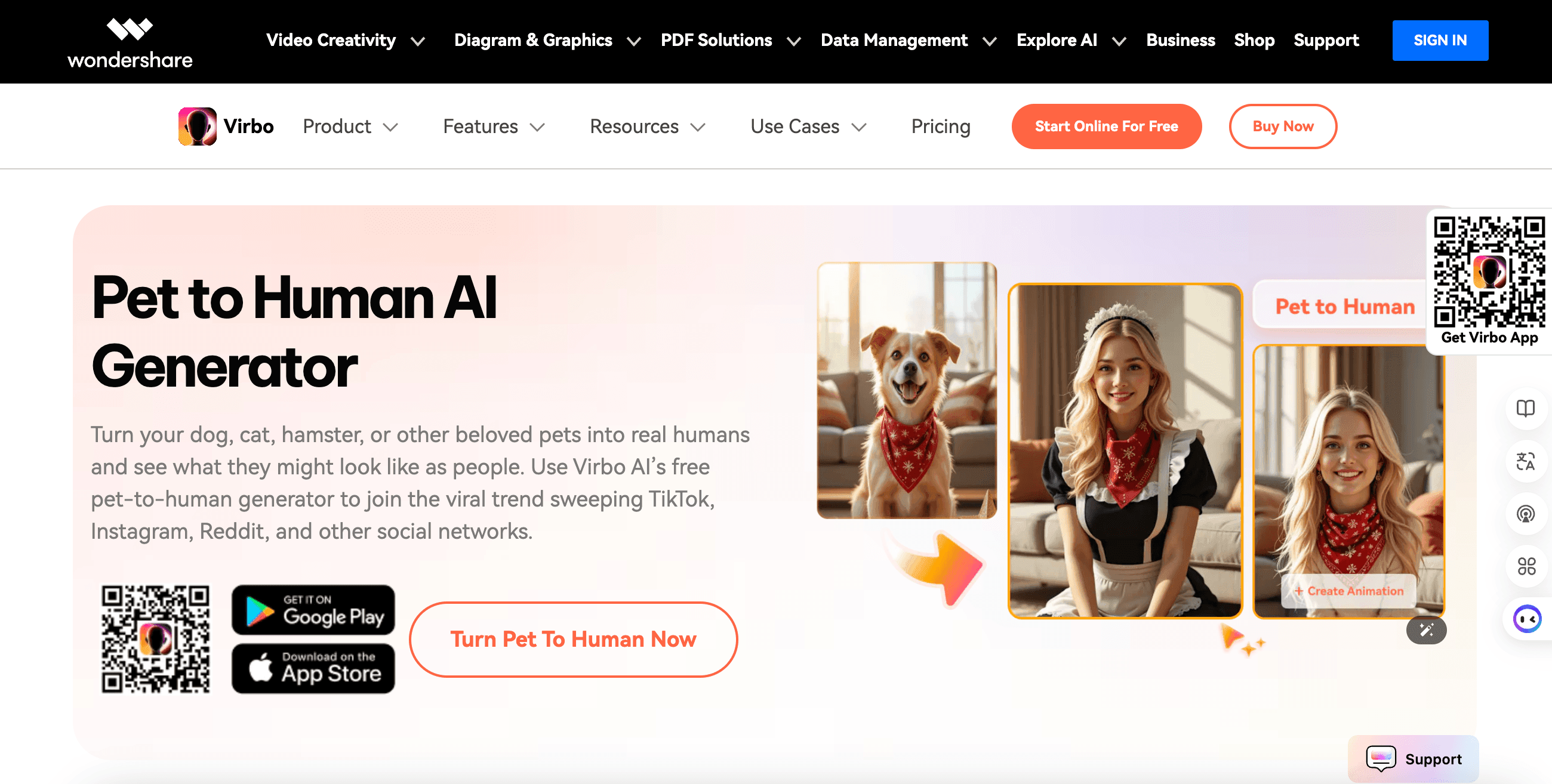 virbo питомец в человек